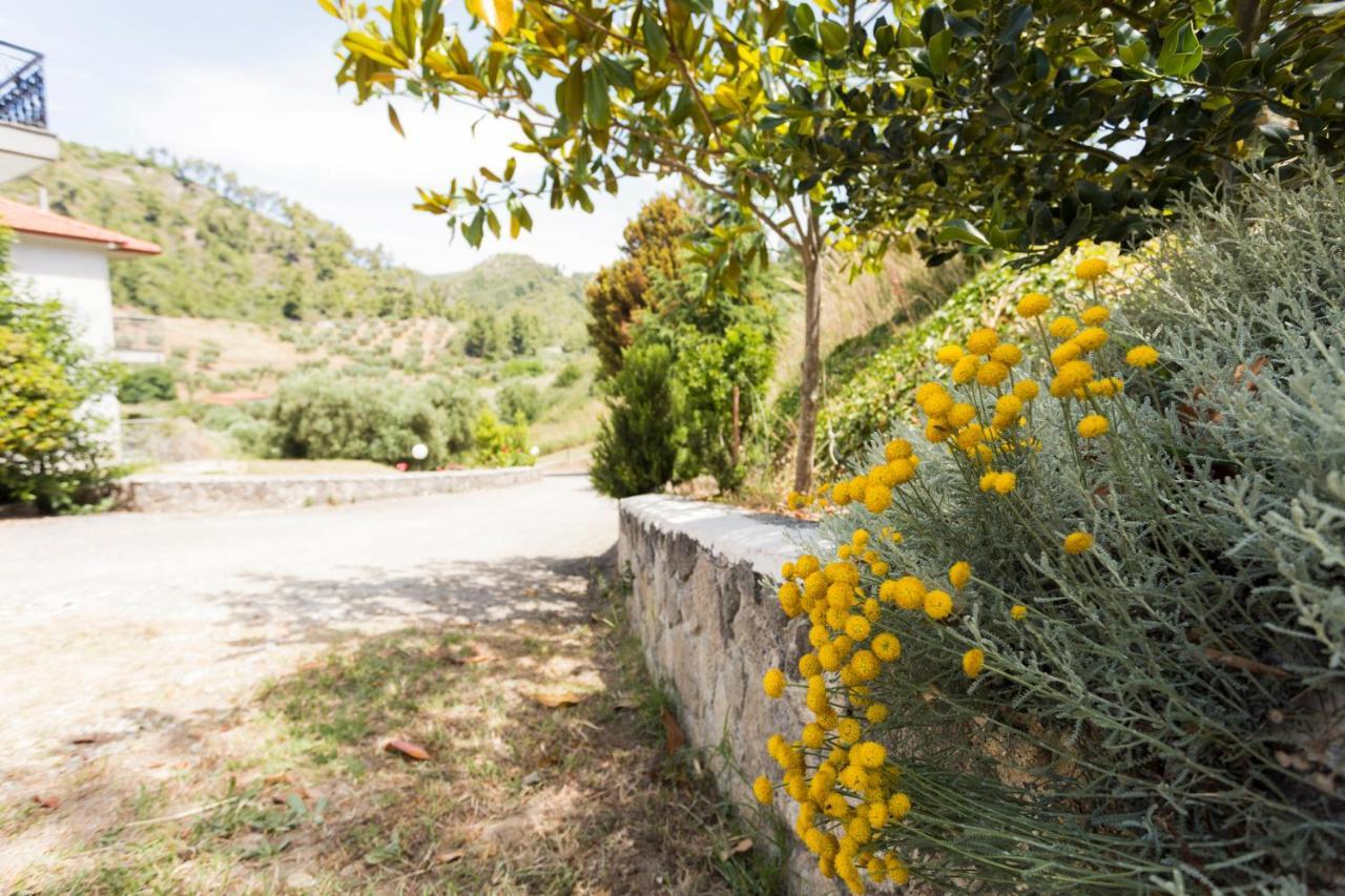 Fotini'S House Διαμέρισμα Νέα Σκιώνη Εξωτερικό φωτογραφία