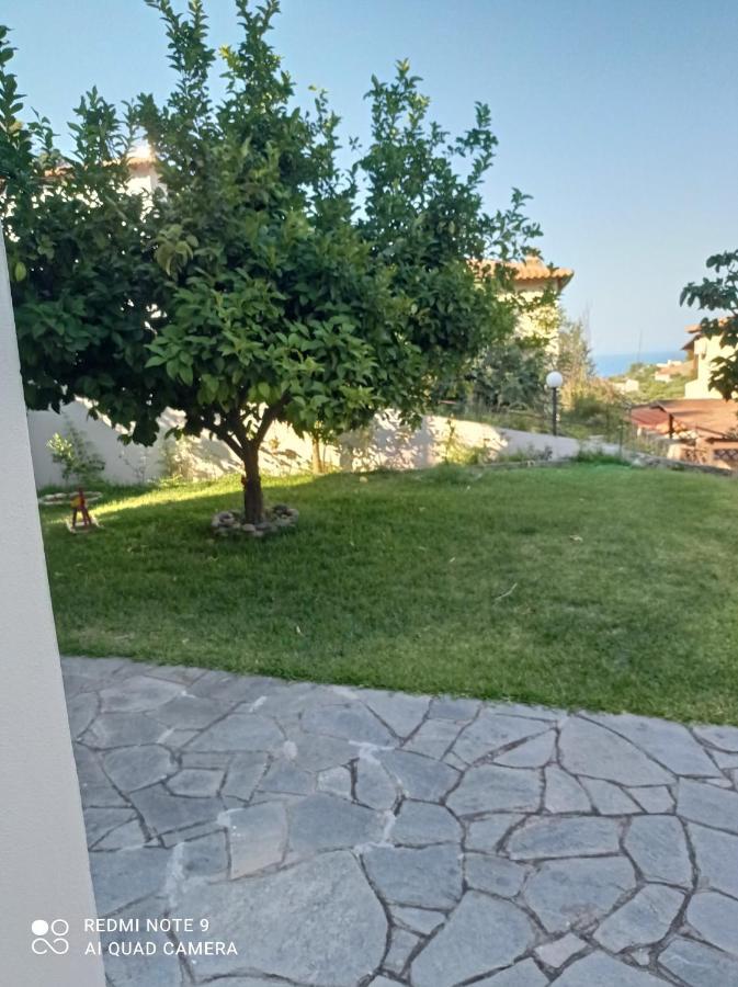 Fotini'S House Διαμέρισμα Νέα Σκιώνη Εξωτερικό φωτογραφία