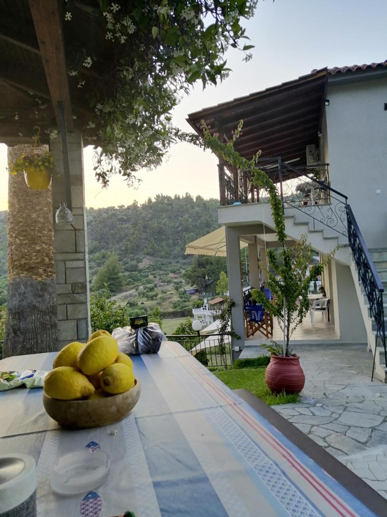 Fotini'S House Διαμέρισμα Νέα Σκιώνη Εξωτερικό φωτογραφία