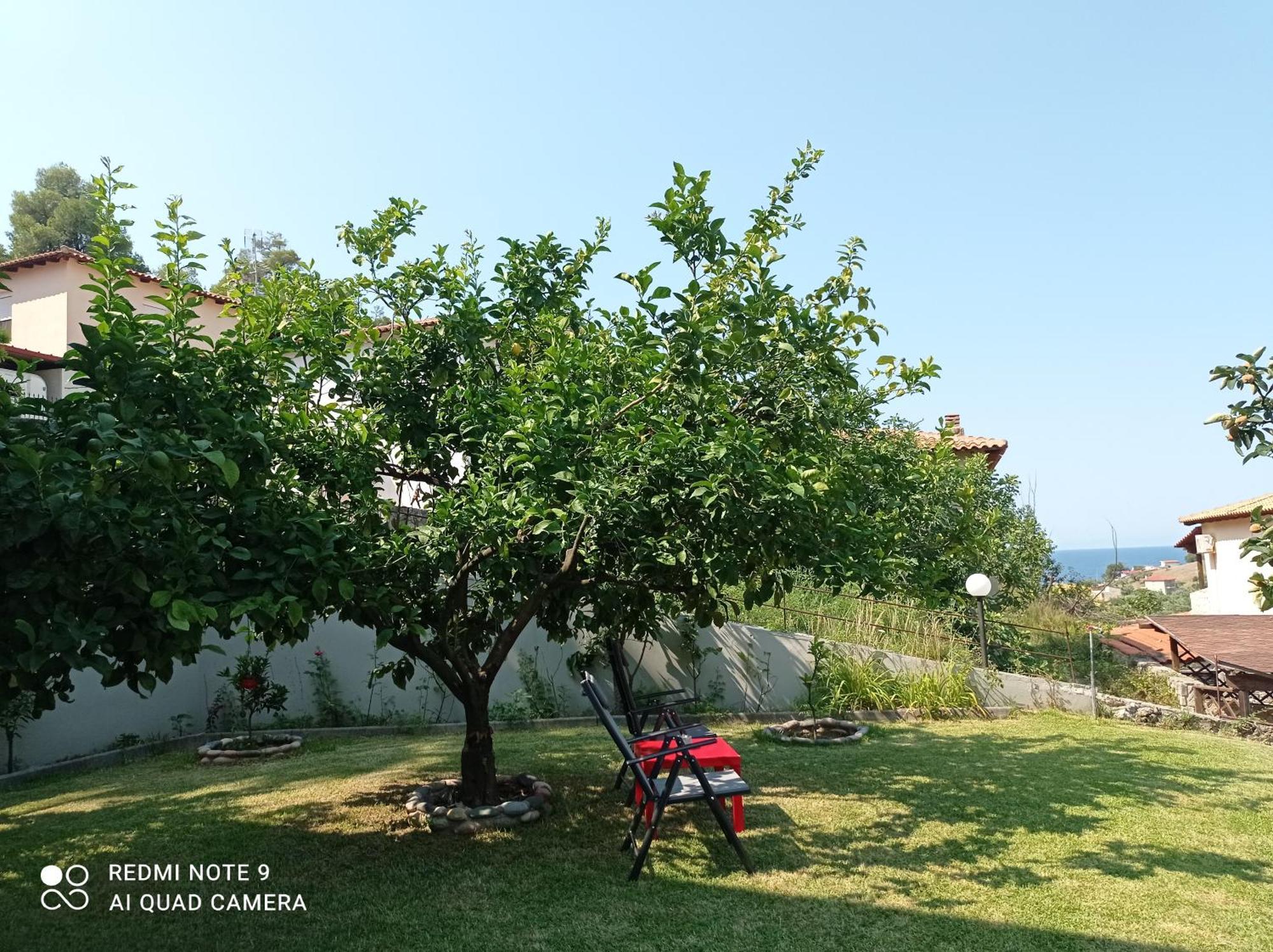 Fotini'S House Διαμέρισμα Νέα Σκιώνη Εξωτερικό φωτογραφία